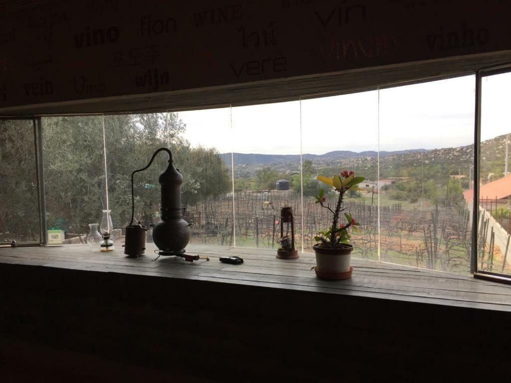 Guest House Nativo - Charming, Cozy & Affordable Valle de Guadalupe Exteriér fotografie